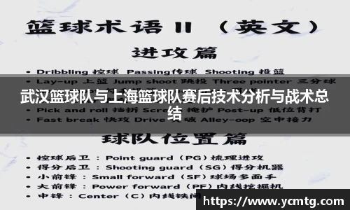 星空综合官网