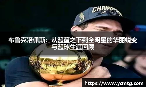 星空·综合体育官方网站